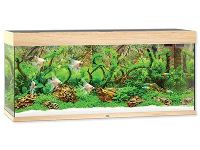 Produktbild von Juwel Rio 240 LED helles Holz - Aquarium Juwel