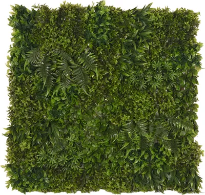 Productafbeelding van LABEL51 Wanddecoratiepaneel – Groen – Kunststof – 80 x 10 x 80 cm