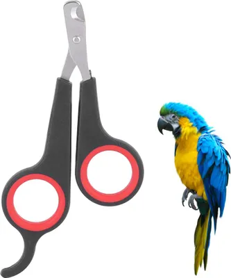 Produktbild von Haustier Vogel Papagei Kleintiere Zubehör Pflegewerkzeug Nagelschere Clipper Schwarz und Rot