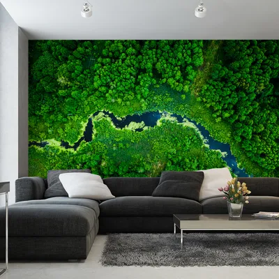 Produktbild von Muralo XXL Selbstklebende FOTOTAPETE Fluss WALD Gruen Aussicht von oben (B) 520 cm x (H) 318 cm Tapete Wandtapete WOHNZIMMER SCHLAFZIMMER 4614