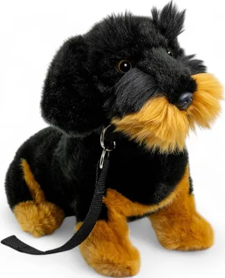 A plush toy dachshund sitting on a white background with a leash attached.