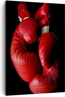 Produktbild von Bild auf Leinwand - Leinwandbild - Einteilig - Sport Handschuhe Leder Wettkampf - 50x70cm - Wand Bild - Wandbilder - Leinwanddruck - Wanddekoration - Leinwand bilder - Wandbild - PA50x70-2211
