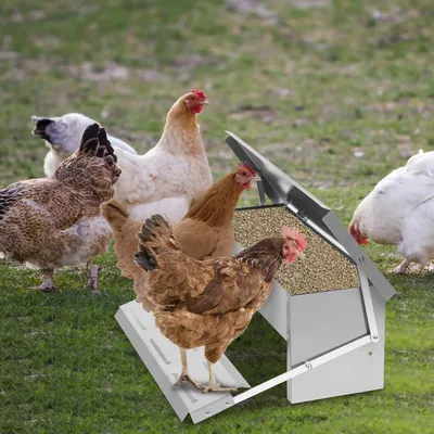 Image de Yakimz Distributeur automatique de nourriture pour poules 5kg - Distributeur de nourriture en acier galvanisé pour volailles, étanche et résistant aux rats