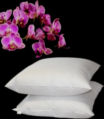 Produktbild von Betten Hofmann Premium Royal Night  Kopfkissen 80x80 cm Kissen 30% Daunen kuschelig