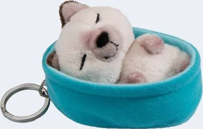 A close-up shot of a sleeping cat plush toy in a blue bed, attached to a keychain.