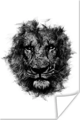 Produktbild von MuchoWow® Poster Löwe - Schwarz - Weiß 80x120 cm - Papierdruck