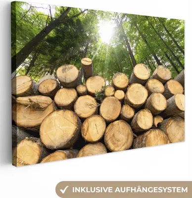 Produktbild von OneMillionCanvasses® - Leinwandbilder - 150x100 cm, Bäume - Holz - Wald, Wandbilder Kunstdruck Wanddekoration