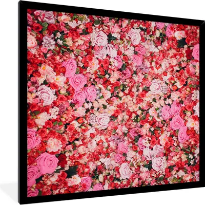 Produktbild von MuchoWow® Gerahmtes Poster Blumen - Farben - Rosen 40x40 cm - Poster mit Schwarzem Bilderrahmen Wandposter Rahmen Foto Bilder - Mit Rahmen - Wanddekoration Schlafzimmer