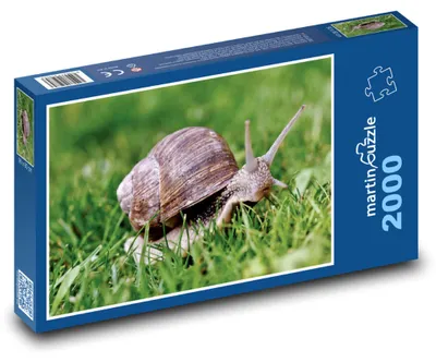 Obrázok produktu pre Puzzle 2000 Slimák na zelenej tráve - martinpuzzle