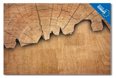 Produktbild von banjado Magnettafel aus Glas, beschreibbar, 90x60cm groß, ESG Sicherheitsglas mit Motiv Holz [MTGQ3 10447]