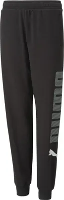 Produktbild von Puma Ess+ Logolab Hosen Schwarz 3-4 Years Junge Schwarz 3-4 Years