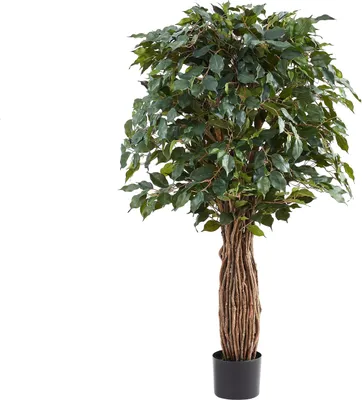 Produktbild von aplanta Künstlicher Ficus – Amadior | 150 cm, Echtholzstamm, UV-beständig, für drinnen, Kunstbaum, wie echt, Allergiker geeignet, pflanzliche Dekoration Praxis, Office & Wohnzimmer