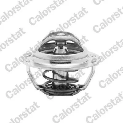 Produktbild von CALORSTAT by Vernet Thermostat + Dichtung