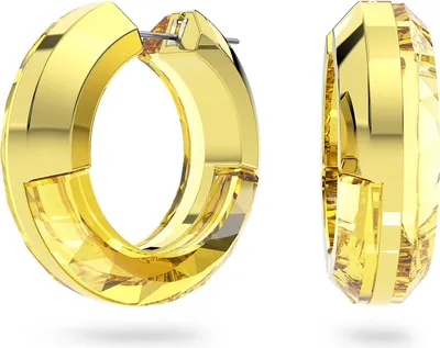 Immagine prodotto di Orecchini circolari Swarovski Silver Collection Lucent - donna