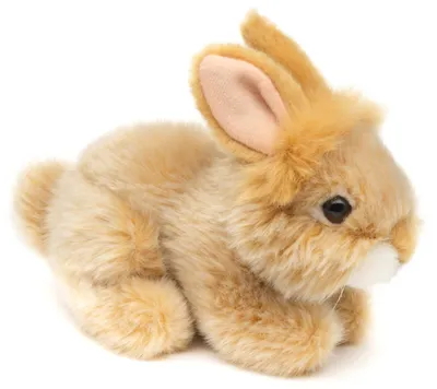 Produktbild von Uni-Toys - Angorakaninchen beige, liegend - 18 cm (Länge) - Plüsch-Hase, Kaninchen - Plüschtier, Kuscheltier – Beige (Liegend)