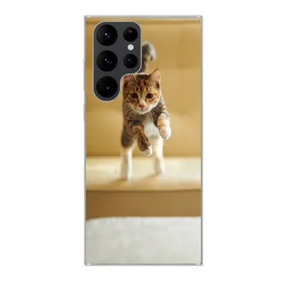 Produktbild von MuchoWow® Handyhülle Schutzhülle Hülle für Samsung Galaxy S22 Ultra Katze - Frühling - Stuhl Silikon Softcase Handy Hülle - Abbildung