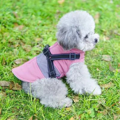 Produktbild von Haustierkleidung, Hundekleidung, Schleppwesten, Teddywelpenkleidung (rosa M)