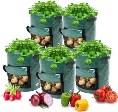 A collection of five green fabric grow bags filled with potatoes and plants, arranged with various vegetables like radishes, onions, peppers, and tomatoes in the foreground.