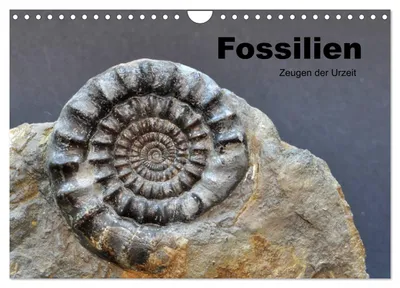 Produktbild von Fossilien - Zeugen der Urzeit (Wandkalender 2027 DIN A4 quer), CALVENDO Monatskalender