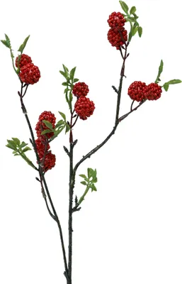 Produktbild von Künstlicher Beerenzweig mit dekorativen Maulbeeren für Weihnachtsarrangements