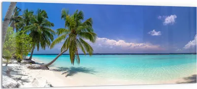 Produktbild von DEQORI Küchenrückwand Glas 125x50 cm 'Paradiesischer Strand' Spritzschutz Bad Rückwand