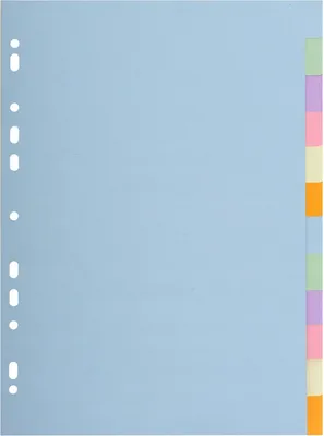 Produktbild von EXACOMPTA Exacompta Ordnerregister Forever® DIN A4 blanko Recyclingkarton mehrfarbig 12 Registerblätter