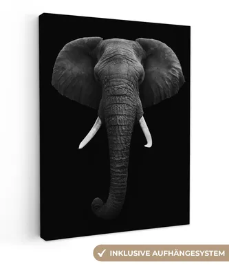 Produktbild von MuchoWow® - Leinwandbilder - Elefant - Wildtiere - Schwarz - Weiß - Porträt, Wandbild, Wanddeko Bilder Wohnzimmer, 60x80 cm