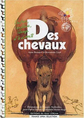 Image de Des chevaux