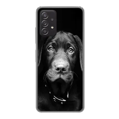 Produktbild von MuchoWow® Handyhülle Schutzhülle Hülle für Samsung Galaxy A53 5G Hund - Leicht - Schwarz Silikon Softcase Handy Hülle - Schutzabdeckung