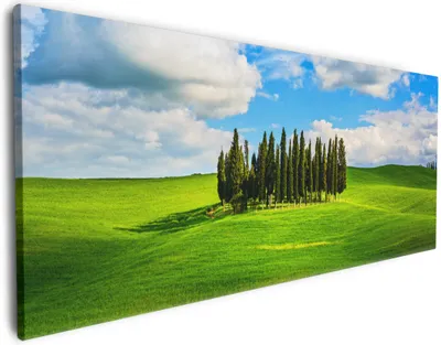 Produktbild von Wallario Premium Leinwandbild Kleiner Wald inmitten einer weiten Wiese in Größe 60 x 150 cm