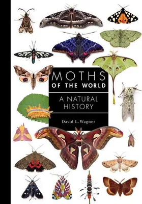 Zdjęcie produktu dla Moths of the World