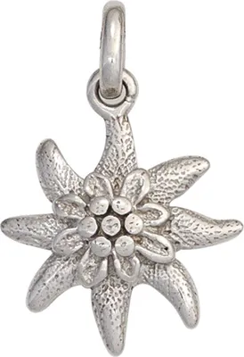 Produktbild von Anhänger Blume Edelweiß aus 925 echt Silber rhodiniert Halsschmuck Damen