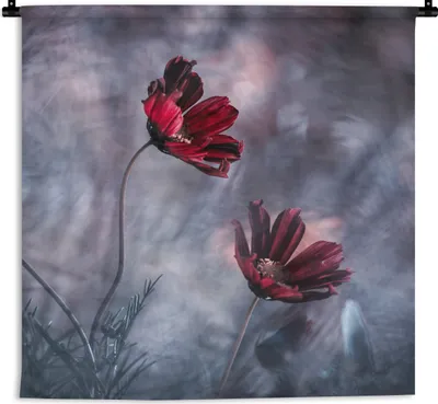 Produktbild von MuchoWow® Wandteppich Wandbehang Blumen - Rot - Pflanzen - Natur 120x120 cm Tapisserie Dekoration Wandtuch - Modern - Baumwollgewebe