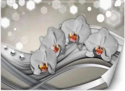 Zdjęcie produktu dla Fototapeta filzelinowa Orchidea abstrakcja 300x210 cm Feeby Srebrny klej w zestawie  łatwa w montażu