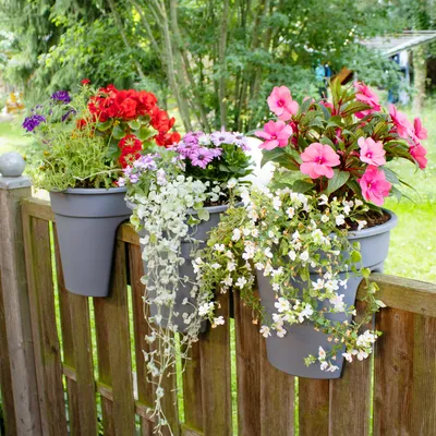 Produktbild von Blumenkasten mit Halterung Flowerclip für Geländer 3er Set - Pflanzkasten für Balkongeländer - Recycelter Kunststoff, Farbe:Grau