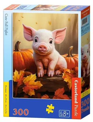 Produktbild von Castorland Puzzle Herbst Ferkel 300 Teile mehrfarbig