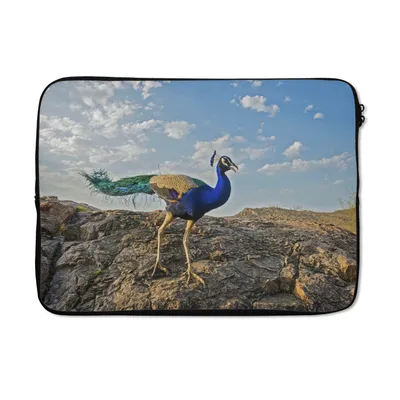 Produktbild von MuchoWow® Laptop Hülle 14 ZollPfau - Berg - Blau Laptoptasche - Laptoptasche - Stoßsicher - Schutzhaube