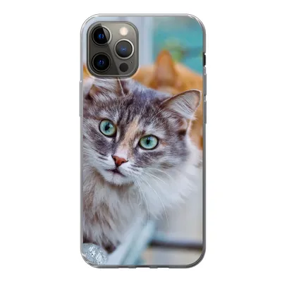 Produktbild von MuchoWow® Handyhülle Schutzhülle Hülle für iPhone 12 Pro Katze - Fenster - Katzen Silikon Softcase Handy Hülle - Abdeckung