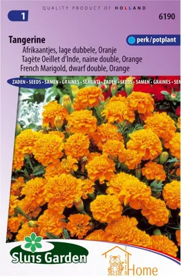 Produktbild von Tangerine Ringelblumen Samen - niedrige gefüllte orangefarbene Blüten für Beet und Topf, hohe Qualität für eine reichhaltige, farbenfrohe Ernte