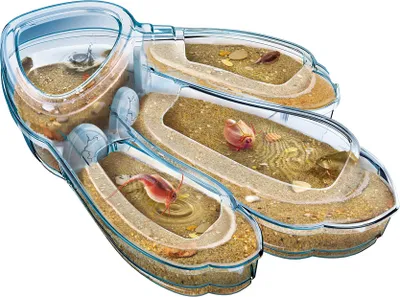 Produktbild von Original Triops Maxi de Luxe von Galileo