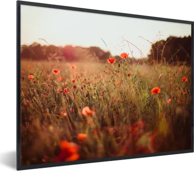 Produktbild von MuchoWow® Gerahmtes Poster Sonnenuntergang - Blumen - Rot 80x60 cm - Poster mit Schwarzem Bilderrahmen Wandposter Rahmen Foto Bilder - Schwarzem - Mit Gestell