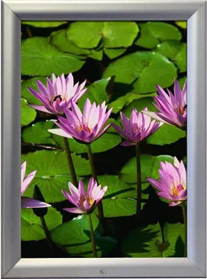 Produktbild von update displays Klapprahmen silber 27,6 x 36,6 cm