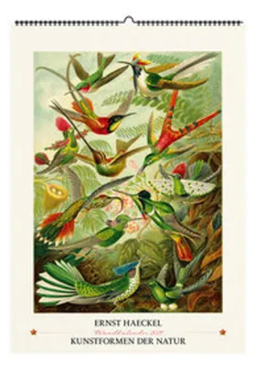 Immagine prodotto di Ernst Haeckel. "Forme artistiche della natura". Calendario da parete 2027: 13 illustrazioni tratte da "Forme artistiche della natura"