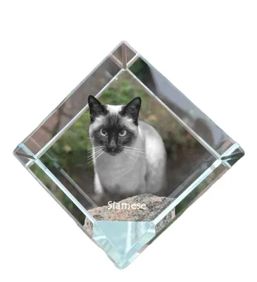 Imagen del producto de Siamés dado de cristal con gato Art-Dog