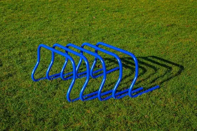 Immagine prodotto di Set di 5 siepi - 30 cm