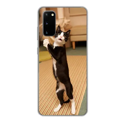 Produktbild von MuchoWow® Handyhülle Schutzhülle Hülle für Samsung Galaxy S20 Katze - Wohnzimmer - Schwarz Silikon Softcase Handy Hülle - Bild