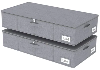 Productafbeelding van Solidchoice - Vouwbare Opbergbak met Deksel voor Onder Bed, 2-Pack