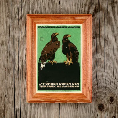 Produktbild von Klassisches Wandposter - Adlerzoo München - A3 (29,7 cm x 42 cm)
