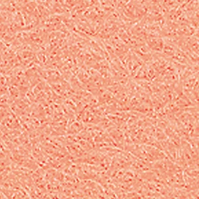 Produktbild von Filzplatte, für Dekorationen, zartrosa 200x300x1mm Viskose