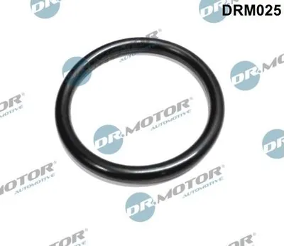 Obrázek produktu pro oring RENAULT